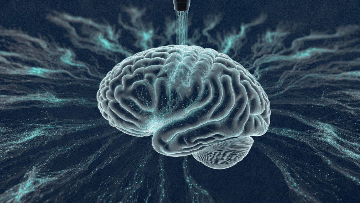 Conceptual illustration of ultrasound waves interacting with a human brain, representing non-invasive brain-computer interface technology